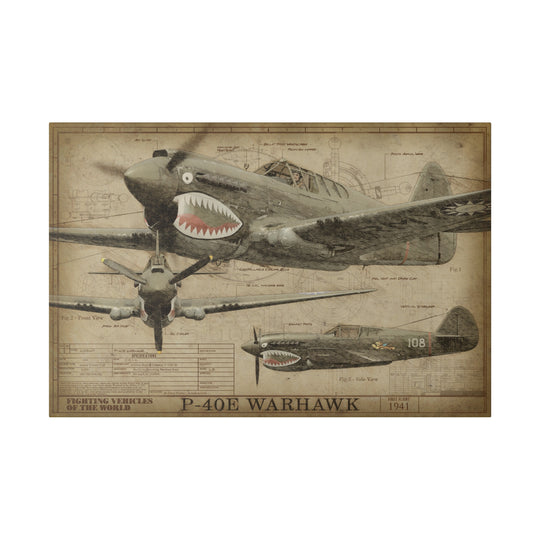 30x20 P-40E Warhawk Fighting Vehicles of the World Canvas Art