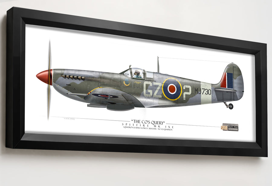 Spitfire Mk IXe - The CO's Query | INCLUDES: Wood Propeller Relic