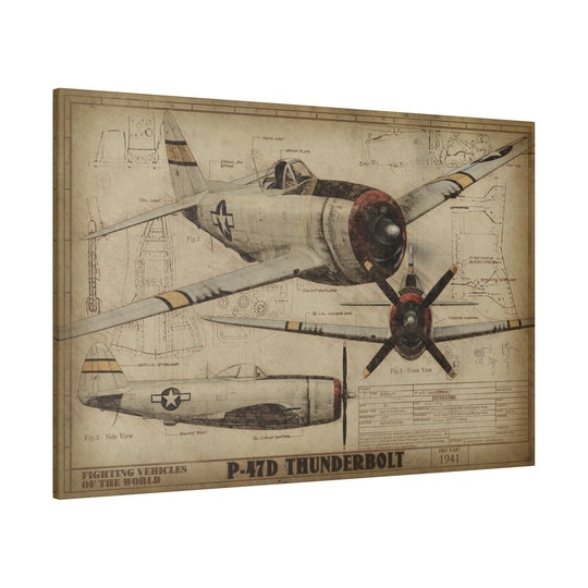 30x20 P-47D Thunderbolt Fighting Vehicles of the World Canvas Art