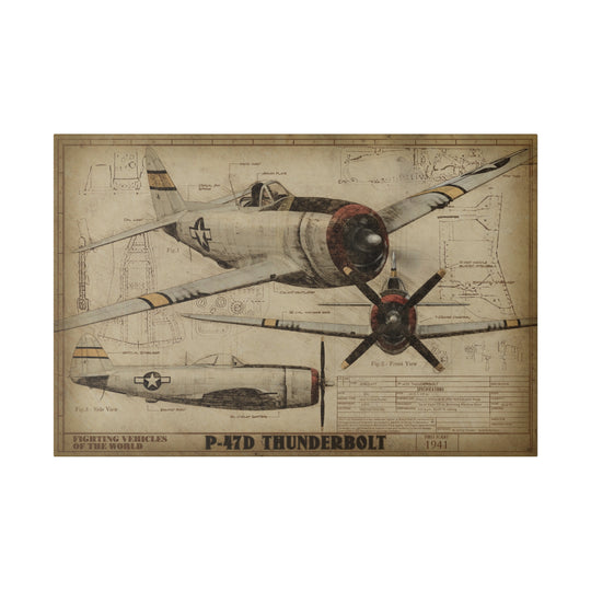 30x20 P-47D Thunderbolt Fighting Vehicles of the World Canvas Art