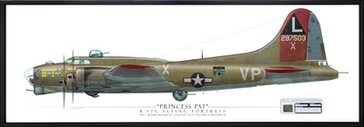 B-17G Flying Fortress - Princess Pat - Framed Panoramic Aviation Art Print - Profile