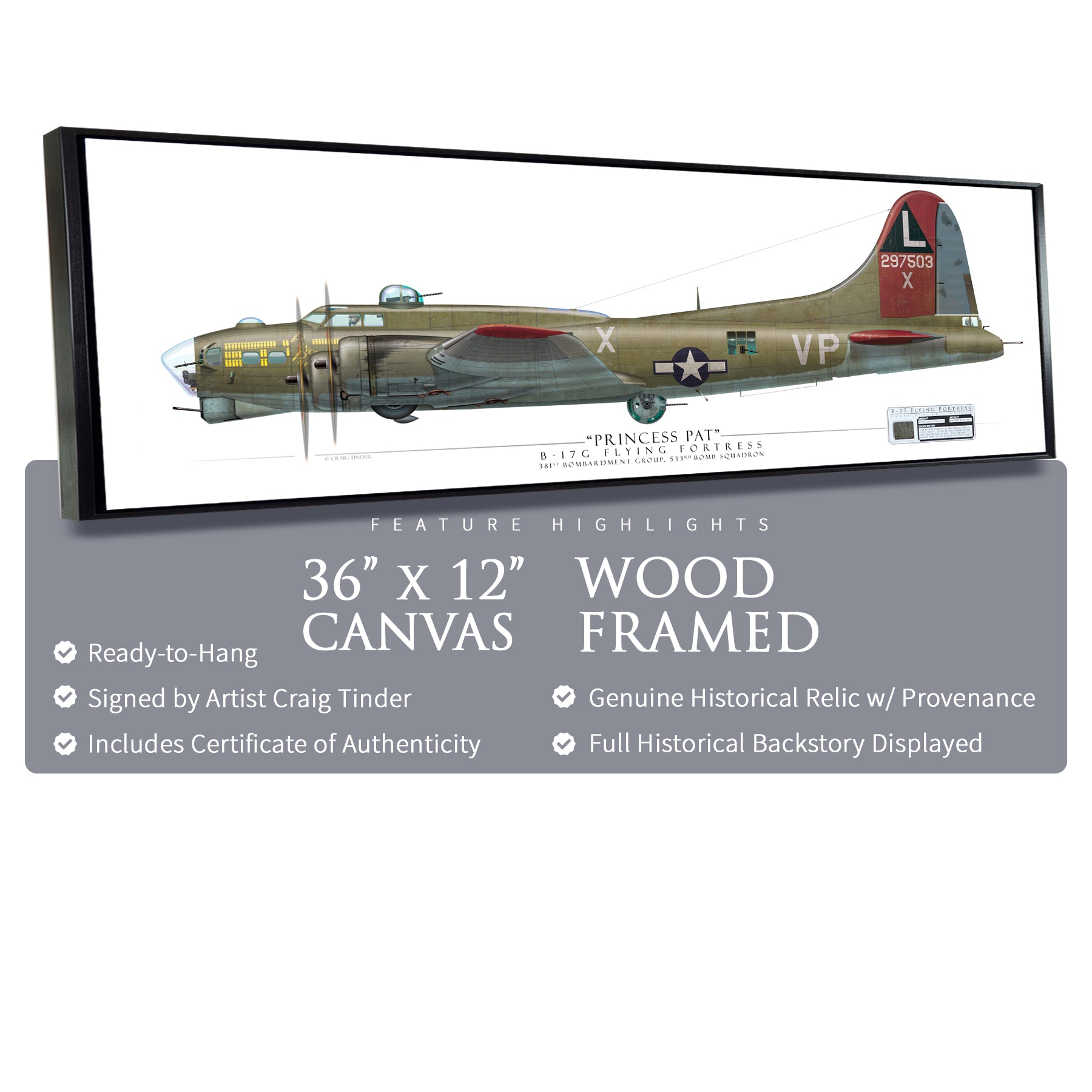 B-17 Flying Fortress Princess Pat - Framed Canvas | INCLUDES: Skin Fragment