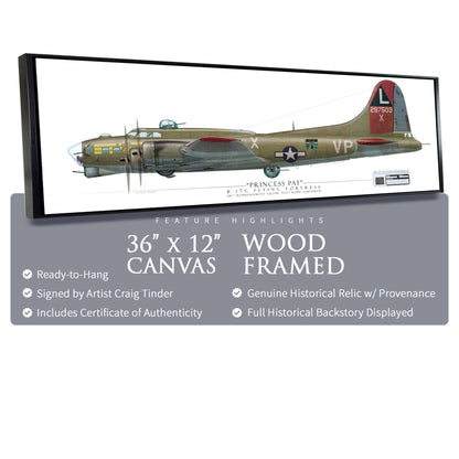B-17 Flying Fortress Princess Pat - Framed Canvas | INCLUDES: Skin Fragment