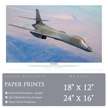 B-1 Lancer - The Bone Canvas | INCLUDES: B-1A Relic