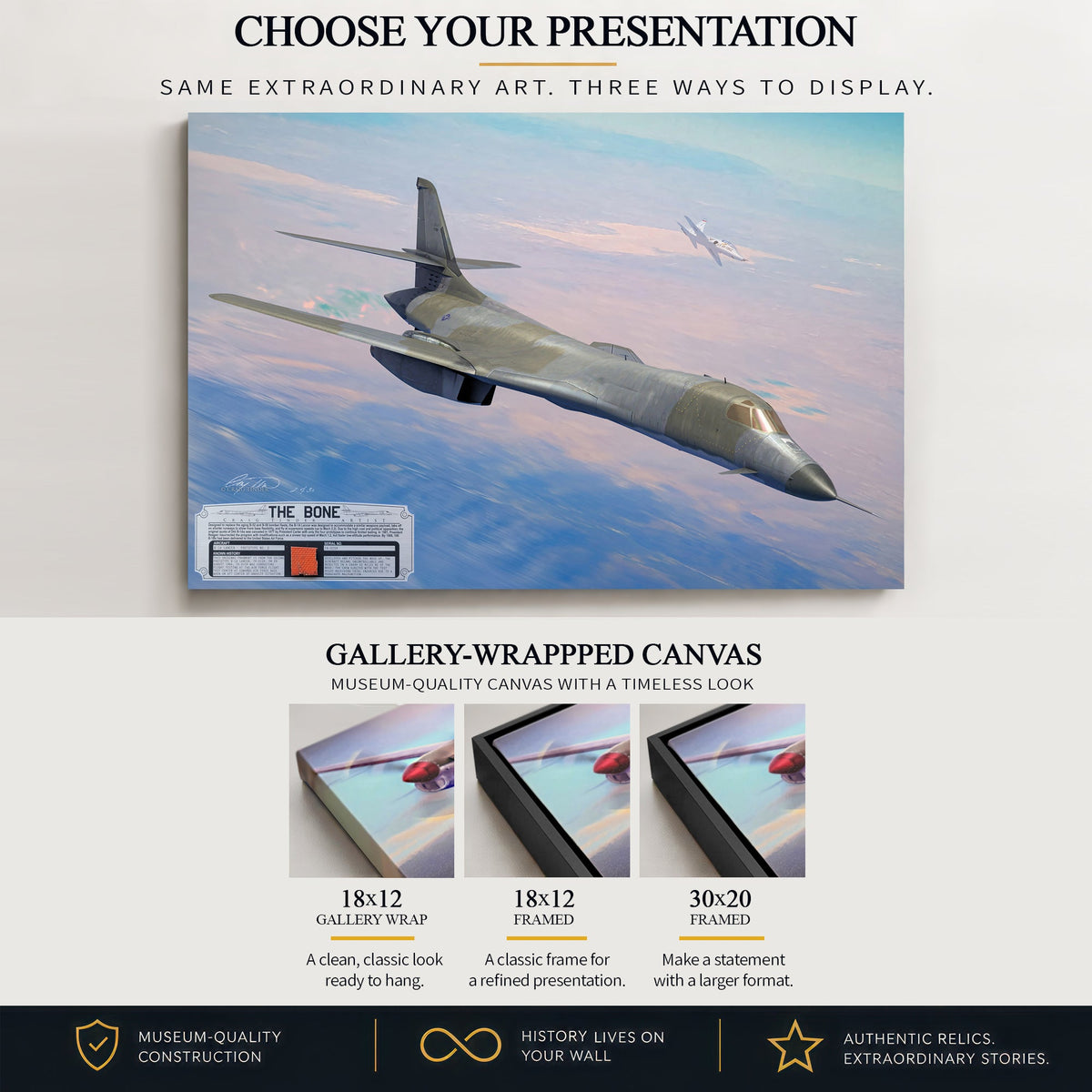 B-1 Lancer The Bone relic detail