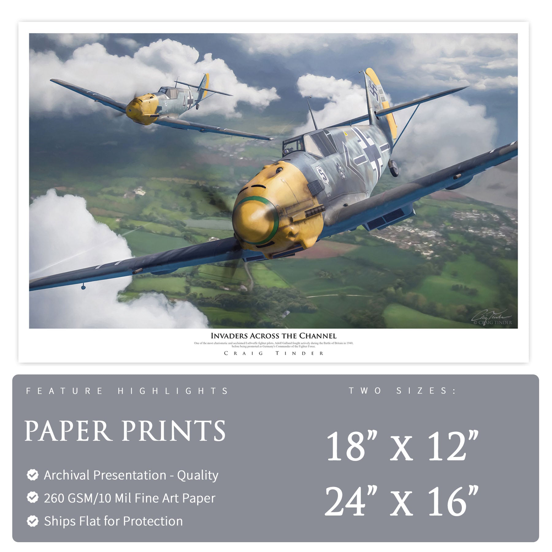 Messerschmitt Bf 109 - Invaders Across the Channel Canvas | INCLUDES: Wing Skin Relic