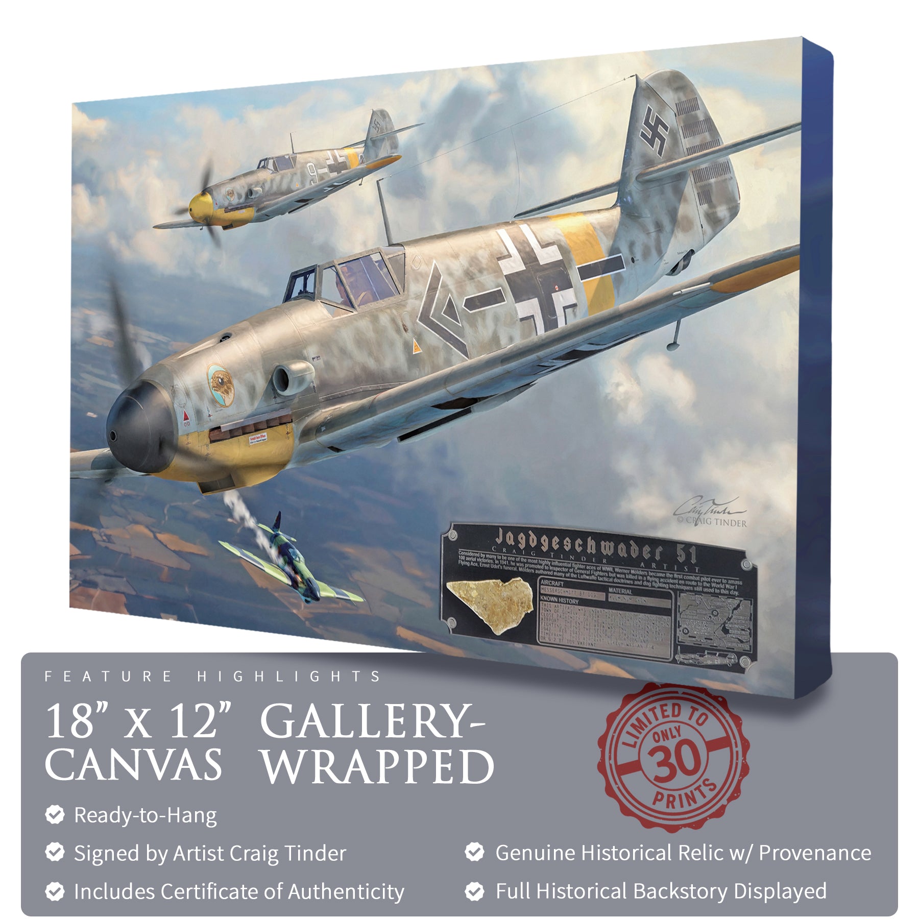 Messerschmitt Bf 109 - JG 51 Canvas | INCLUDES: Skin Fragment