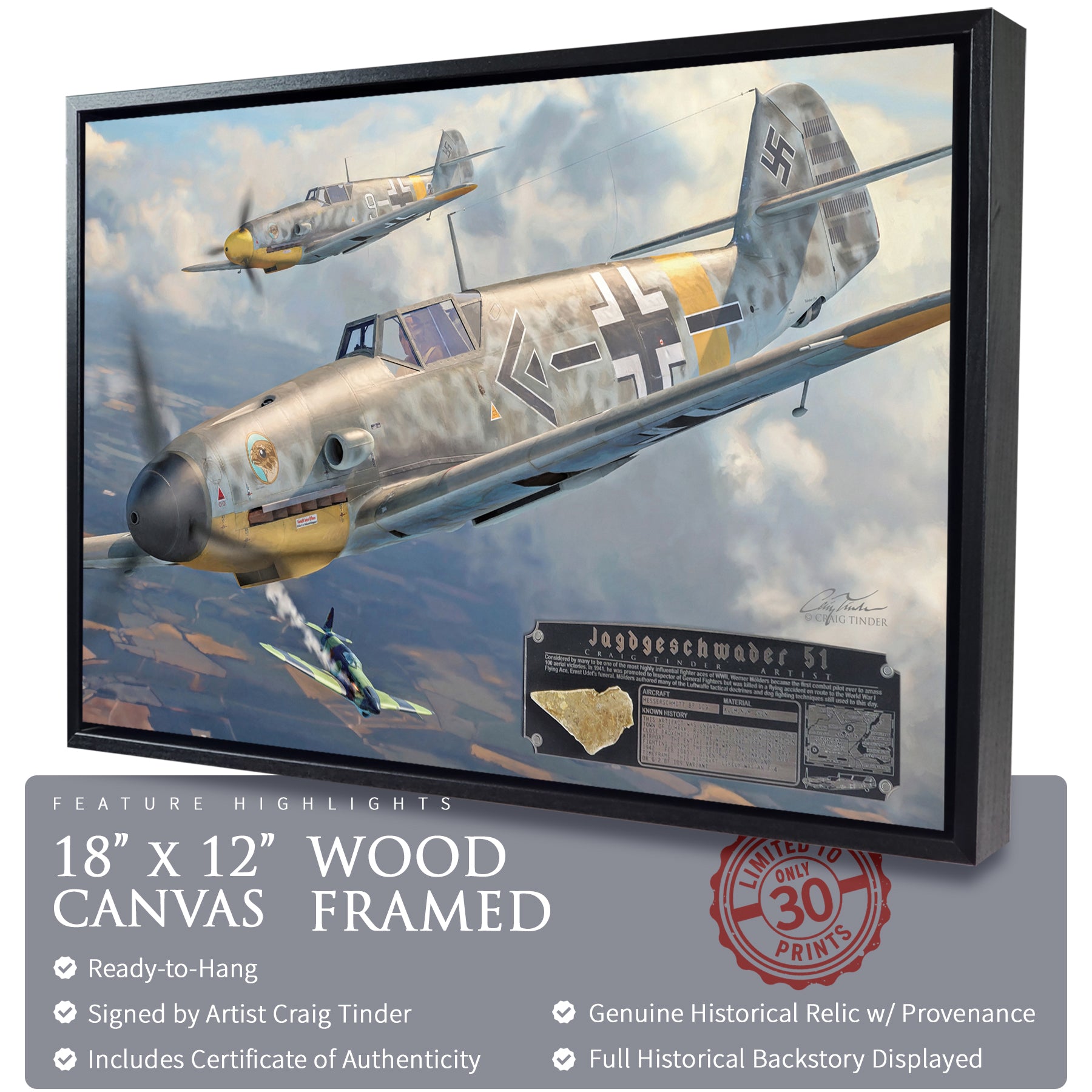 Messerschmitt Bf 109 - JG 51 Canvas | INCLUDES: Skin Fragment