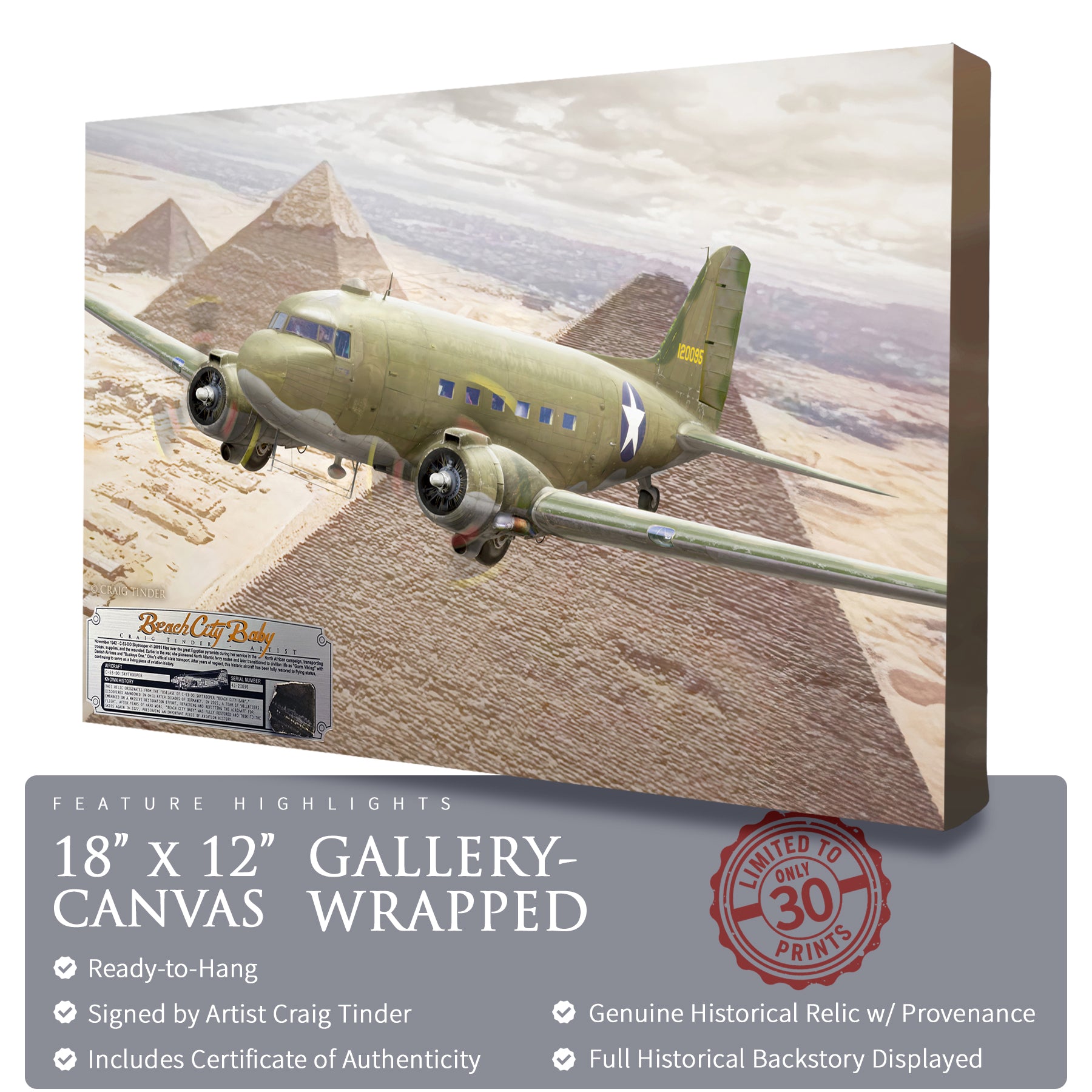 C-53 Skytrooper - Beach City Baby Canvas | INCLUDES: Fuselage Relic