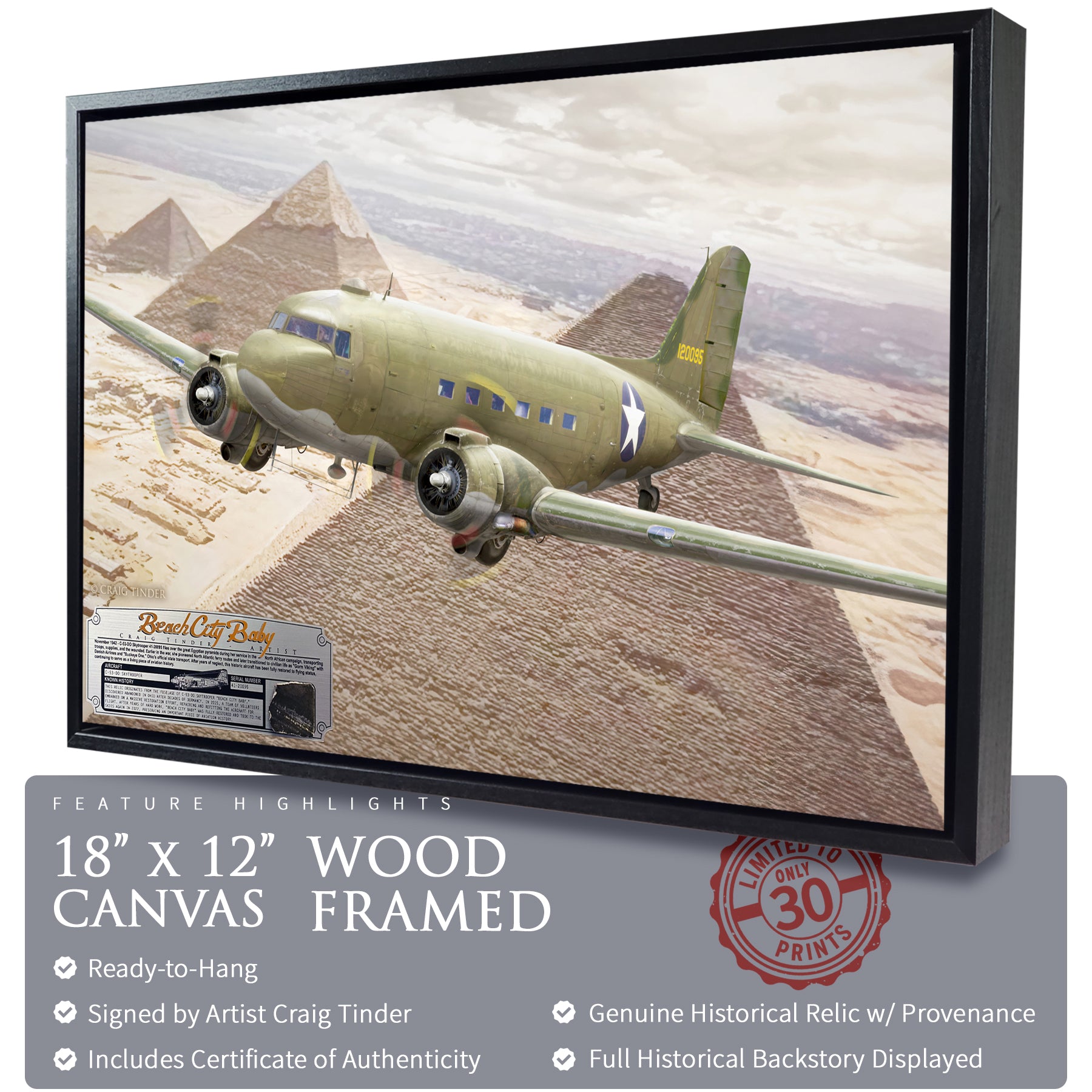 C-53 Skytrooper - Beach City Baby Canvas | INCLUDES: Fuselage Relic