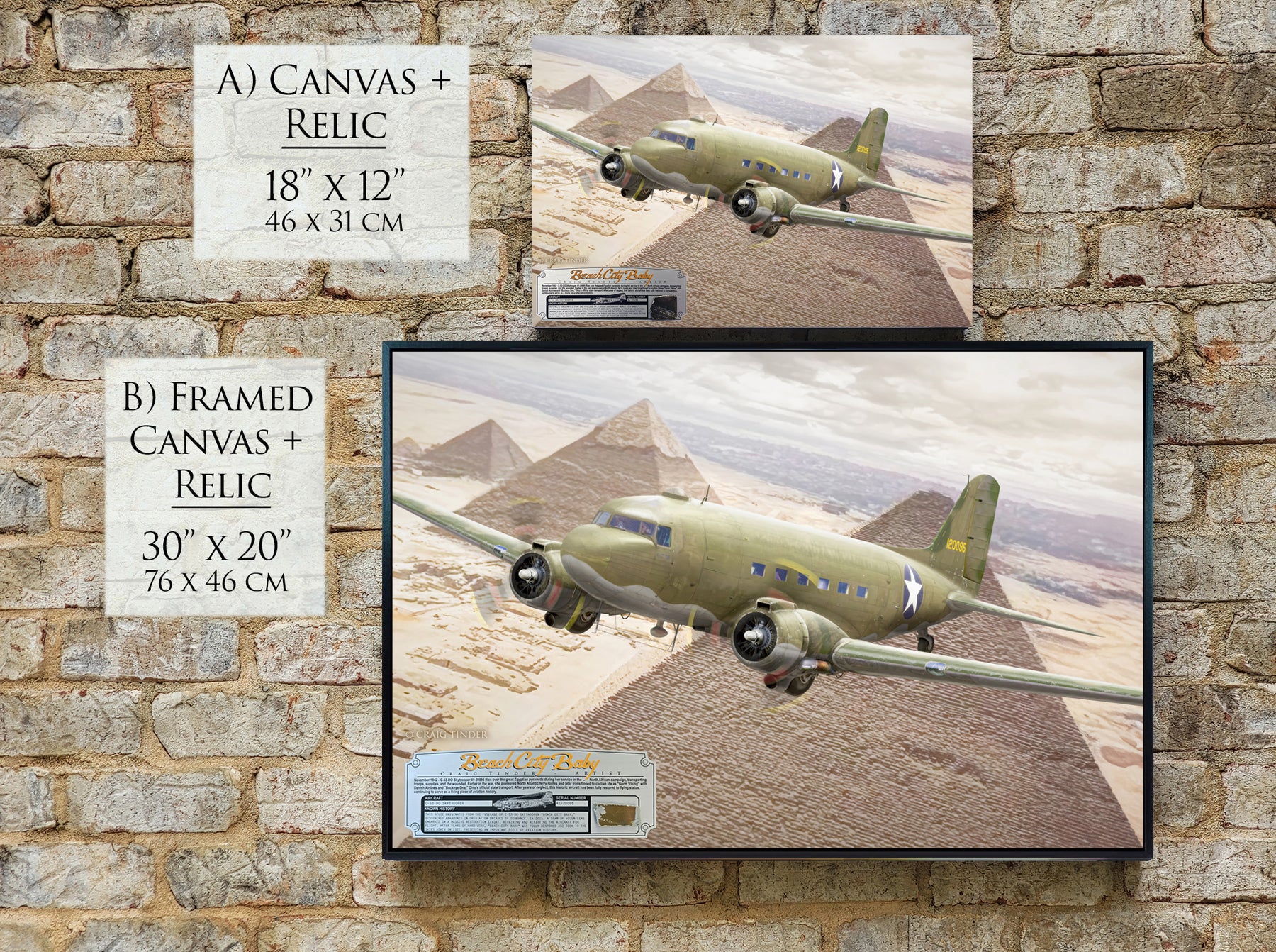 Beach City Baby - C-53 Skytrooper Canvas | INCLUDES: Fuselage Relic