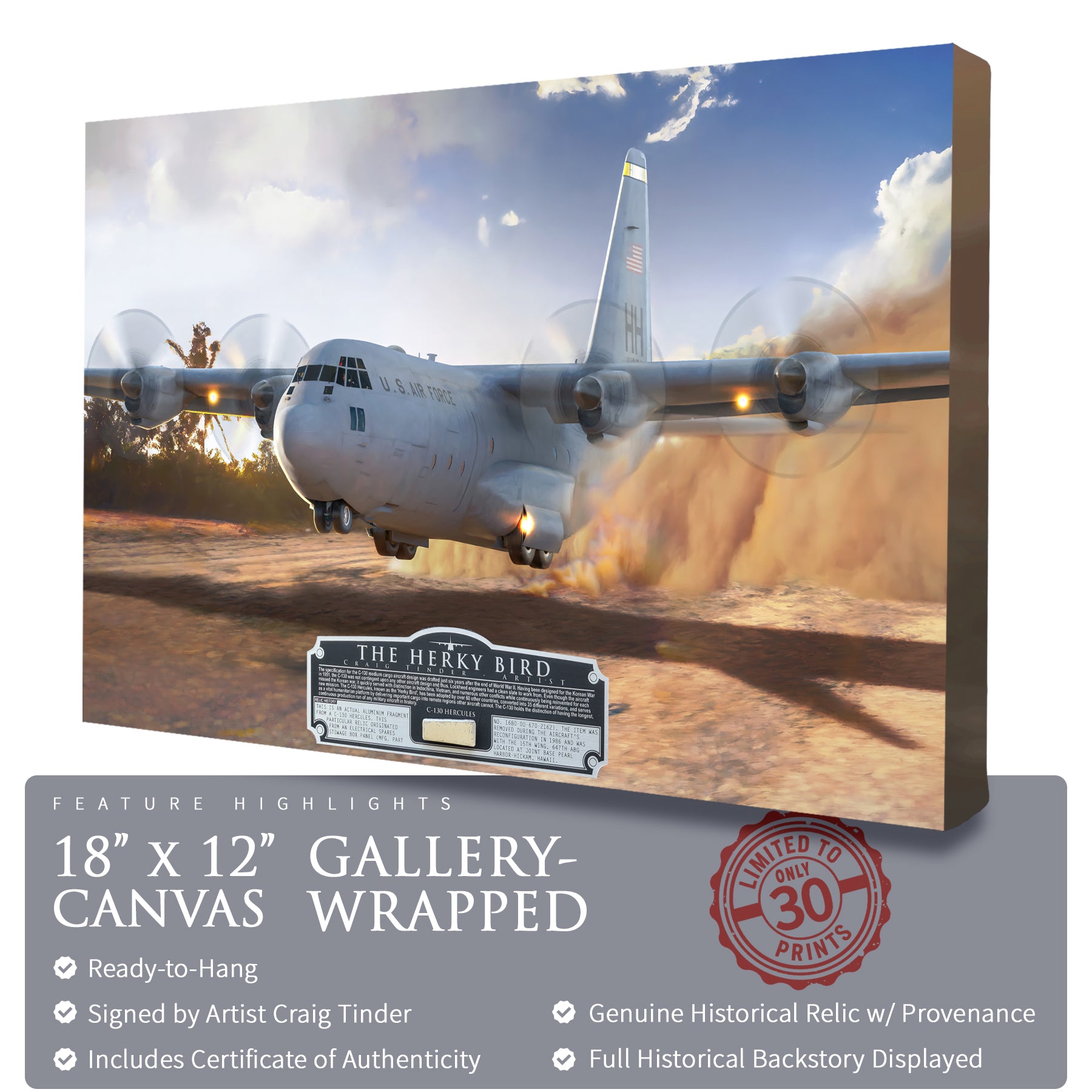 C-130 Hercules - The Herky Bird Canvas | INCLUDES: Stowage Box Panel Relic