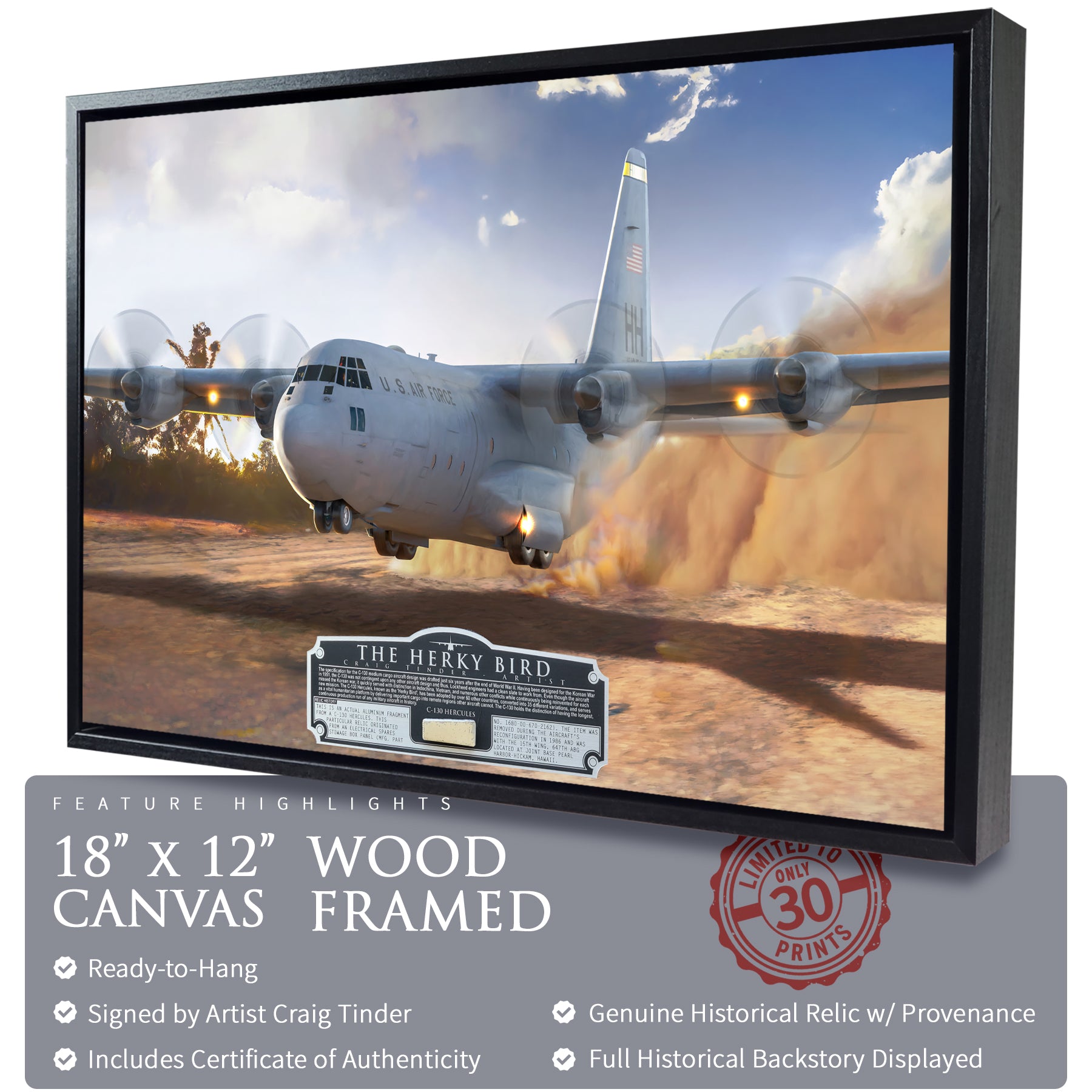 C-130 Hercules - The Herky Bird Canvas | INCLUDES: Stowage Box Panel Relic