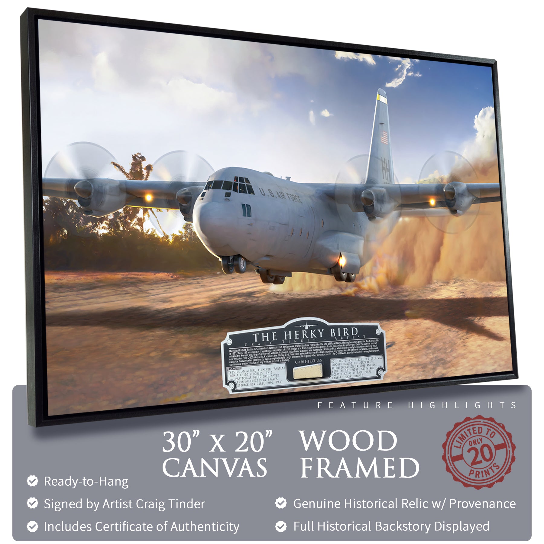 C-130 Hercules - The Herky Bird Canvas | INCLUDES: Stowage Box Panel Relic