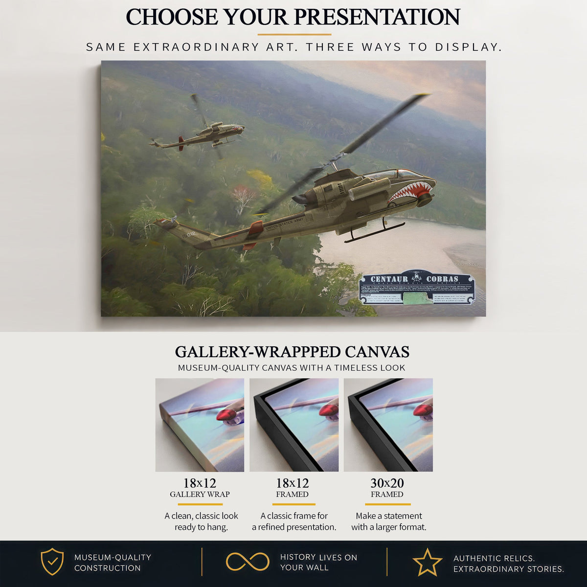AH-1 Cobra Centaur Cobras relic detail