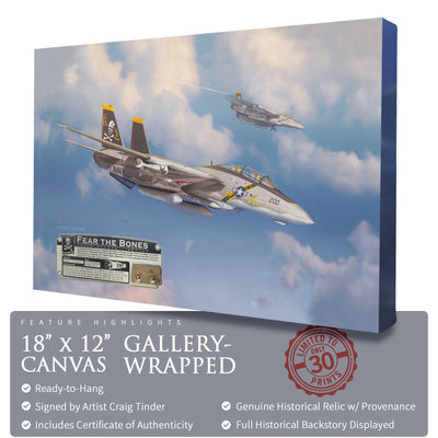 F-14 Tomcat - Fear the Bones historical relic artwork by Craig Tinder