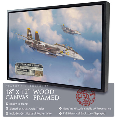 F-14 Tomcat - Fear the Bones historical relic artwork by Craig Tinder