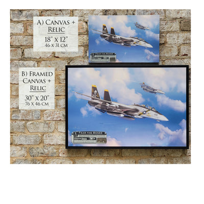 F-14 Tomcat - Fear the Bones historical relic artwork by Craig Tinder