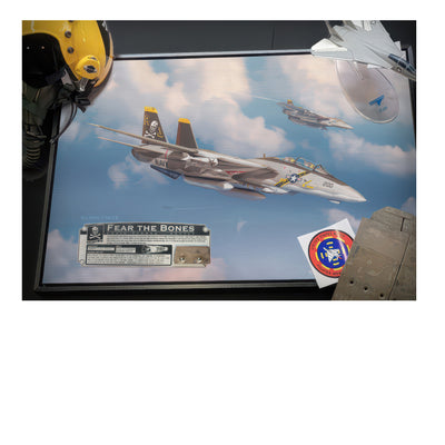 F-14 Tomcat - Fear the Bones historical relic artwork by Craig Tinder