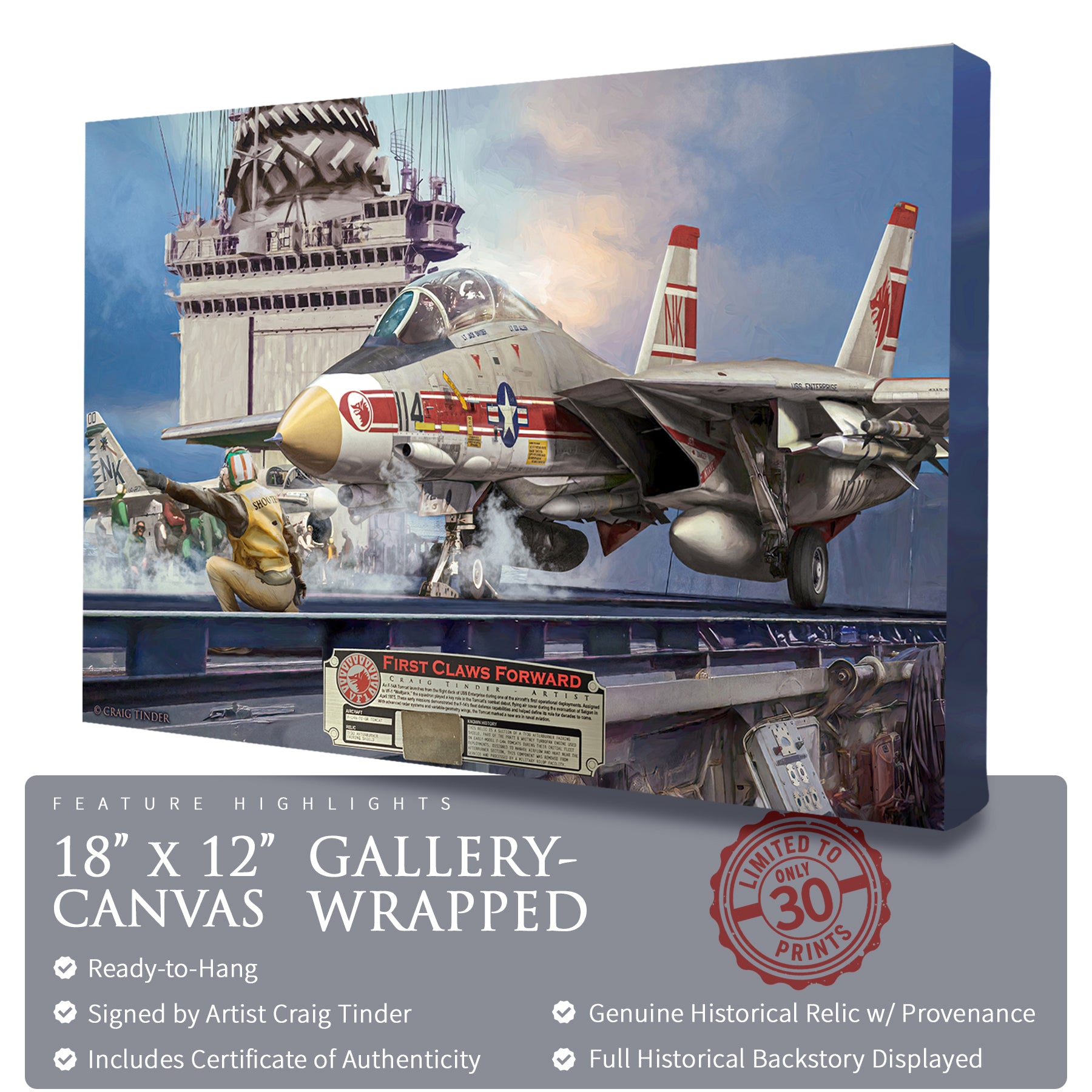 F-14 Tomcat - First Claws Forward Canvas | INCLUDES: TF30 Afterburner Fairing Shield Fragment