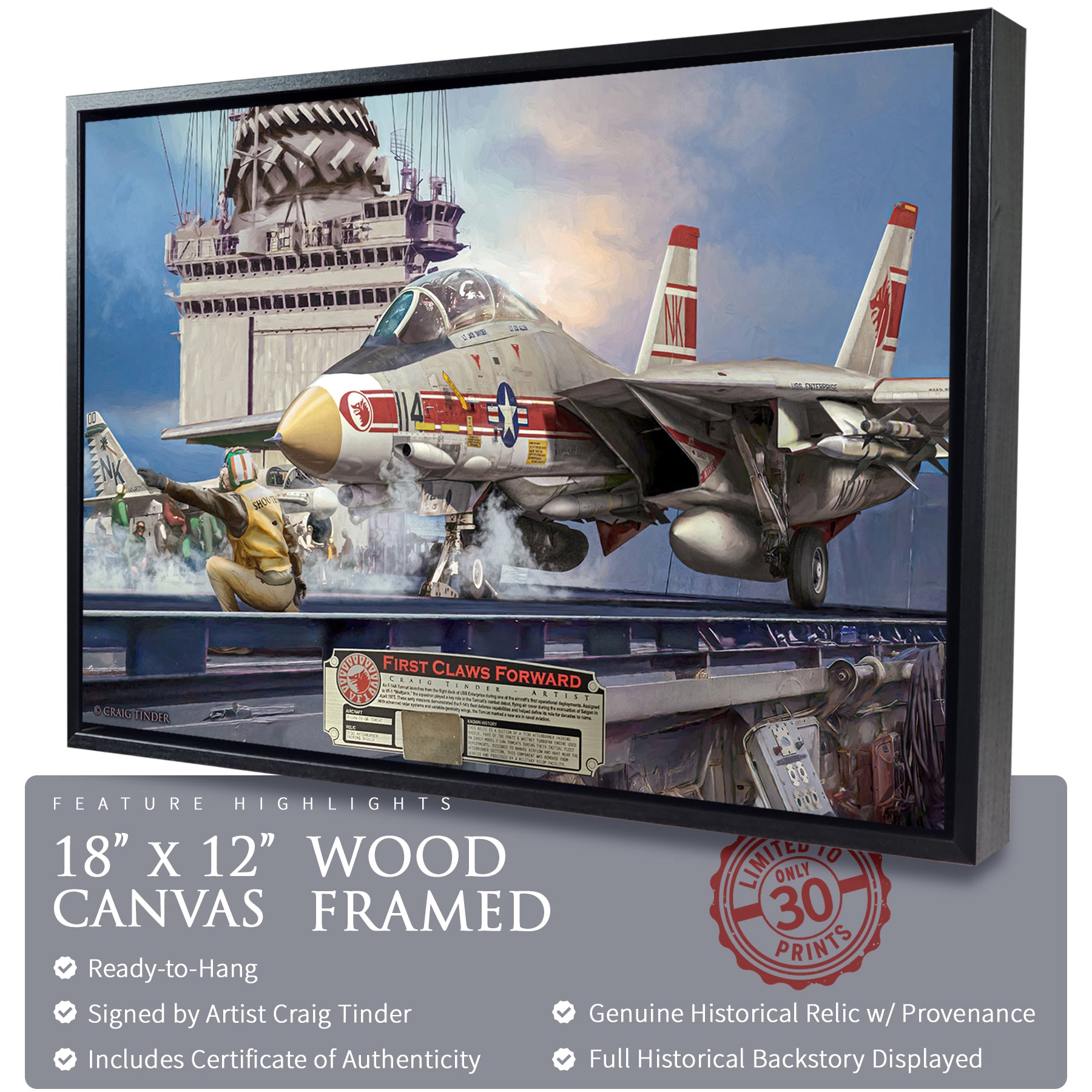 F-14 Tomcat - First Claws Forward Canvas | INCLUDES: TF30 Afterburner Fairing Shield Fragment