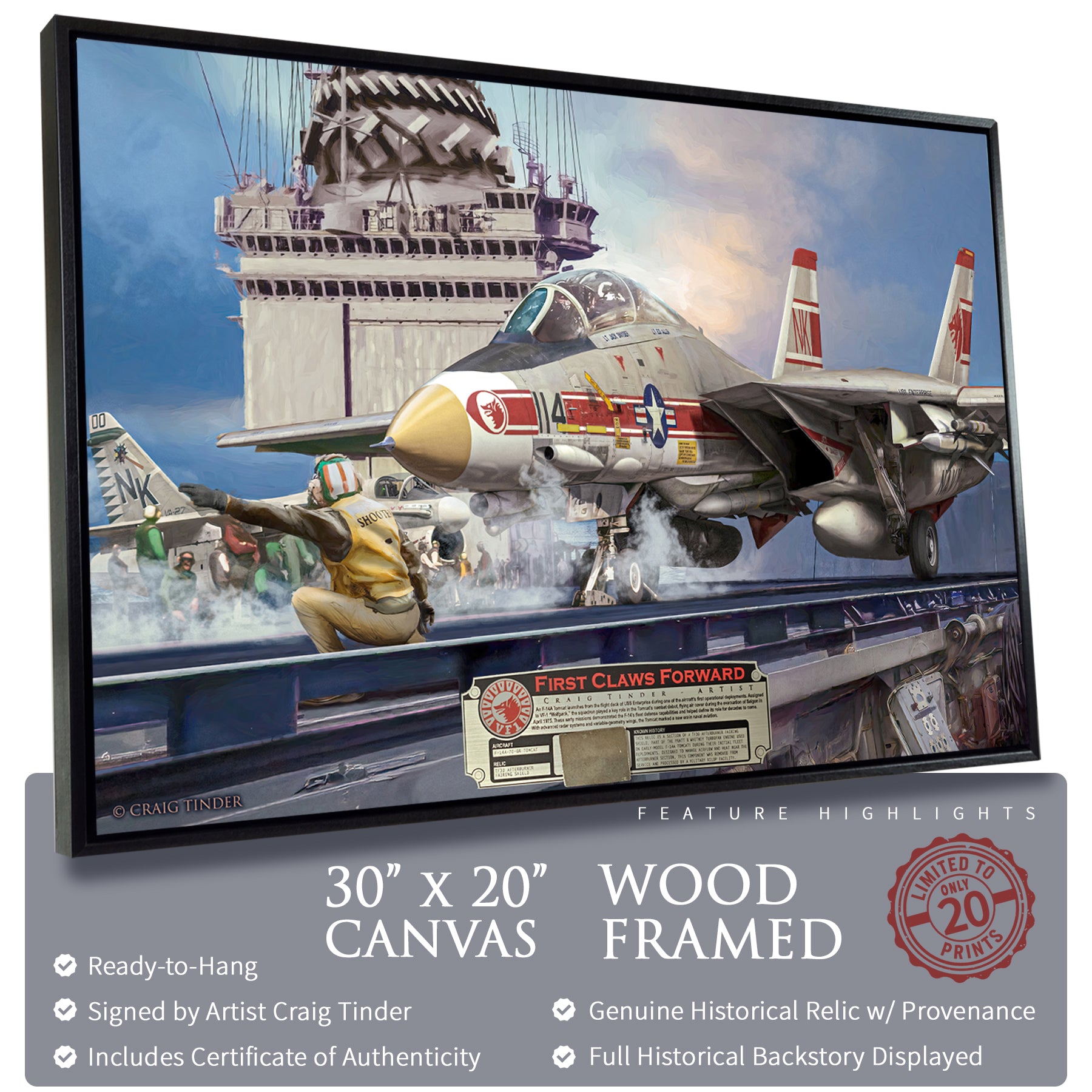 F-14 Tomcat - First Claws Forward Canvas | INCLUDES: TF30 Afterburner Fairing Shield Fragment