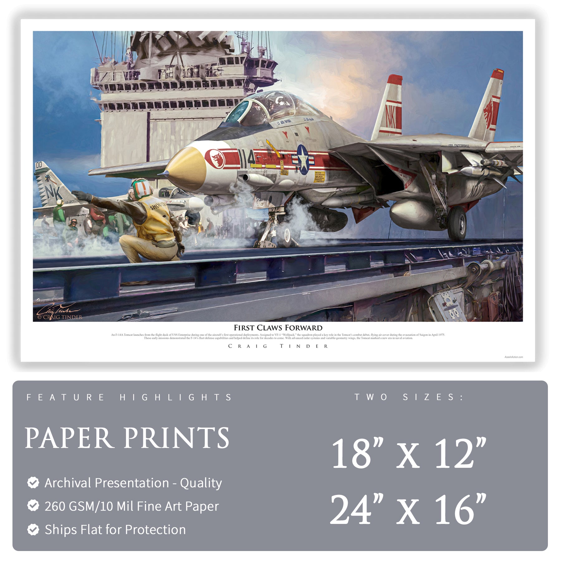 F-14 Tomcat - First Claws Forward Canvas | INCLUDES: TF30 Afterburner Fairing Shield Fragment