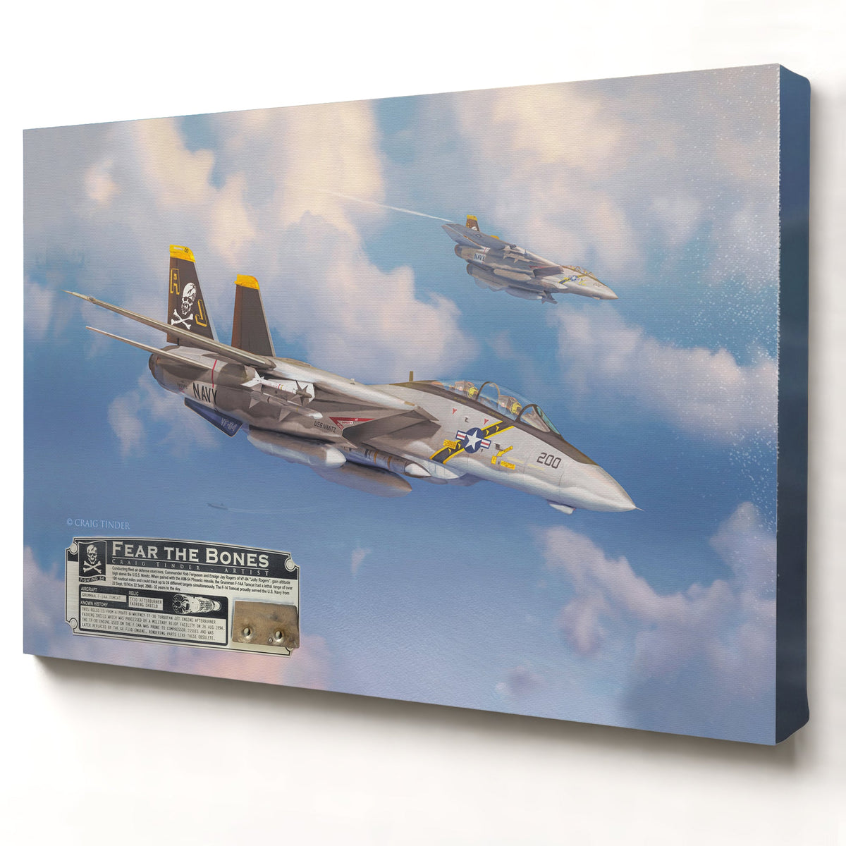 F-14 Tomcat Fear the Bones relic artwork by Craig Tinder