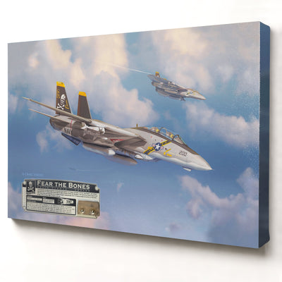 F-14 Tomcat Fear the Bones relic artwork by Craig Tinder
