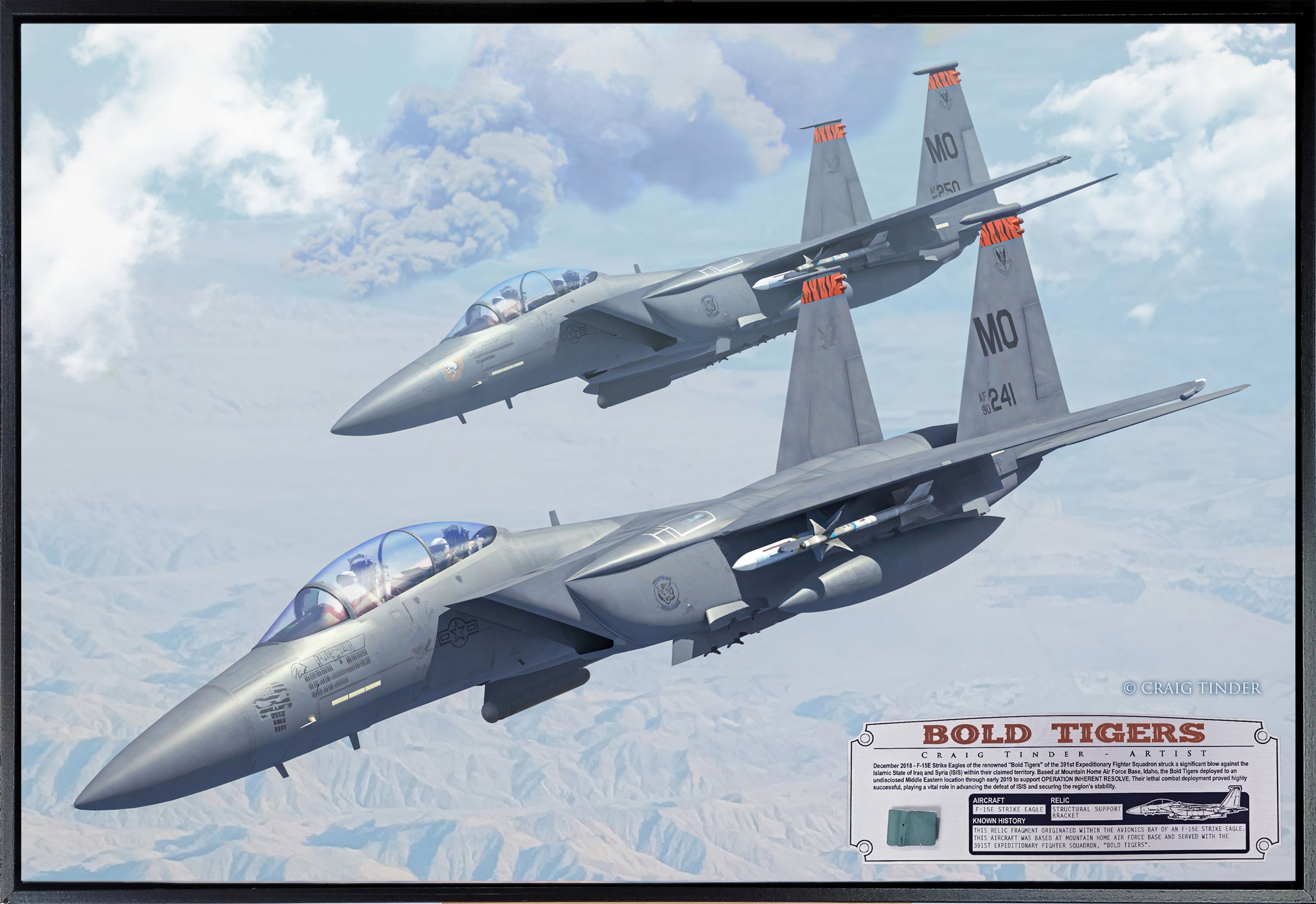 Bold Tigers - F-15E Strike Eagle Canvas | INCLUDES: Avionics Bay Relic