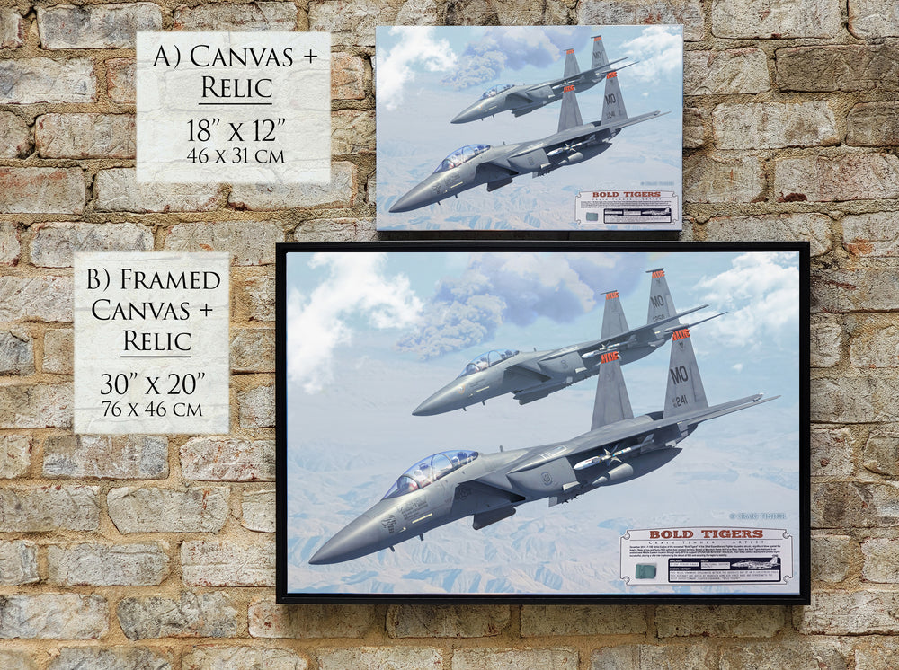 Bold Tigers - F-15E Strike Eagle Canvas with F-15E Relic