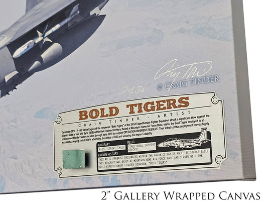 Bold Tigers - F-15E Strike Eagle Canvas with F-15E Relic