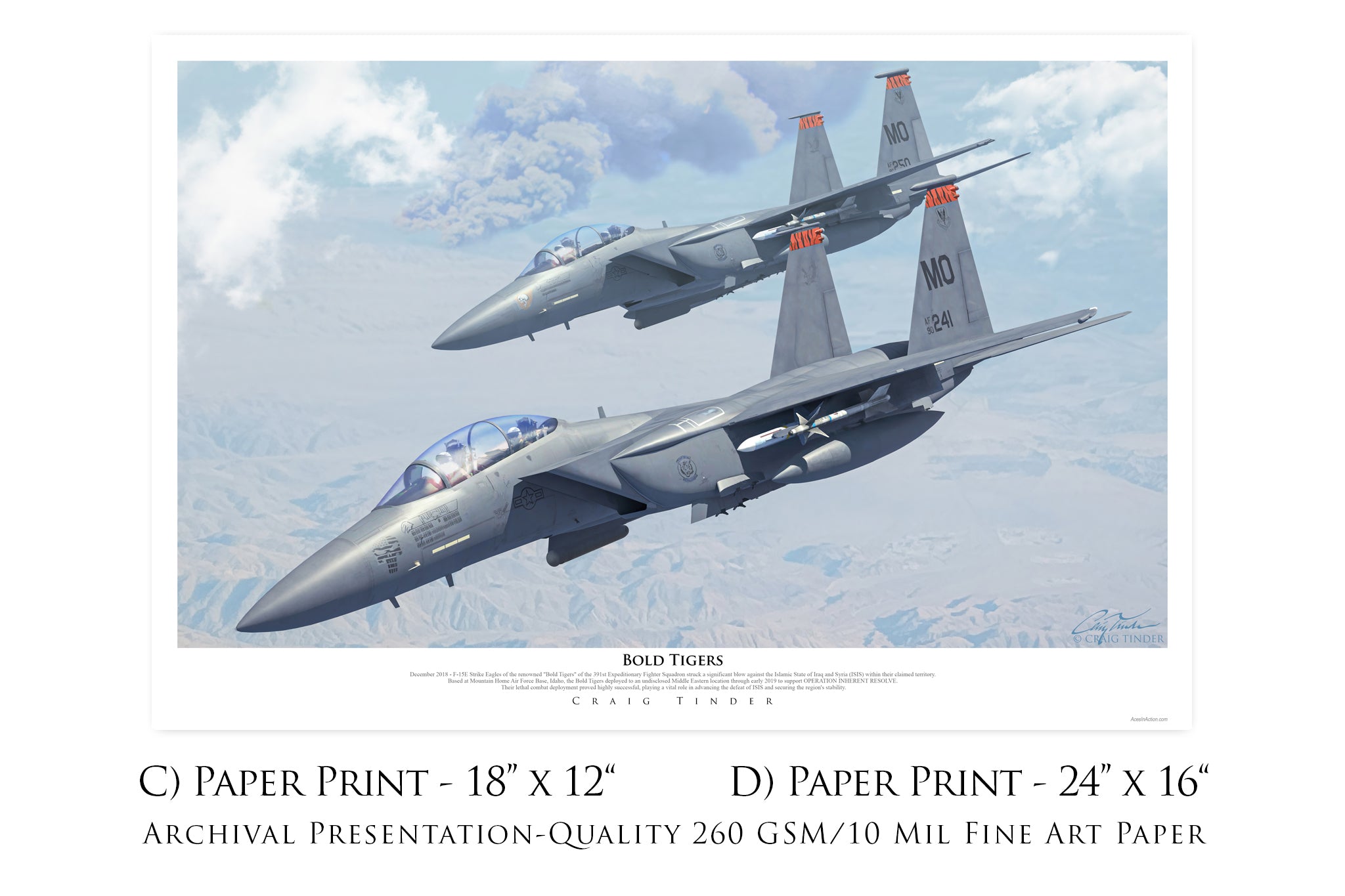 Bold Tigers - F-15E Strike Eagle Canvas with F-15E Relic