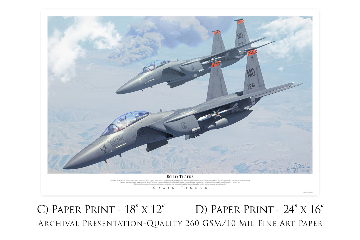 Bold Tigers - F-15E Strike Eagle Aviation Art