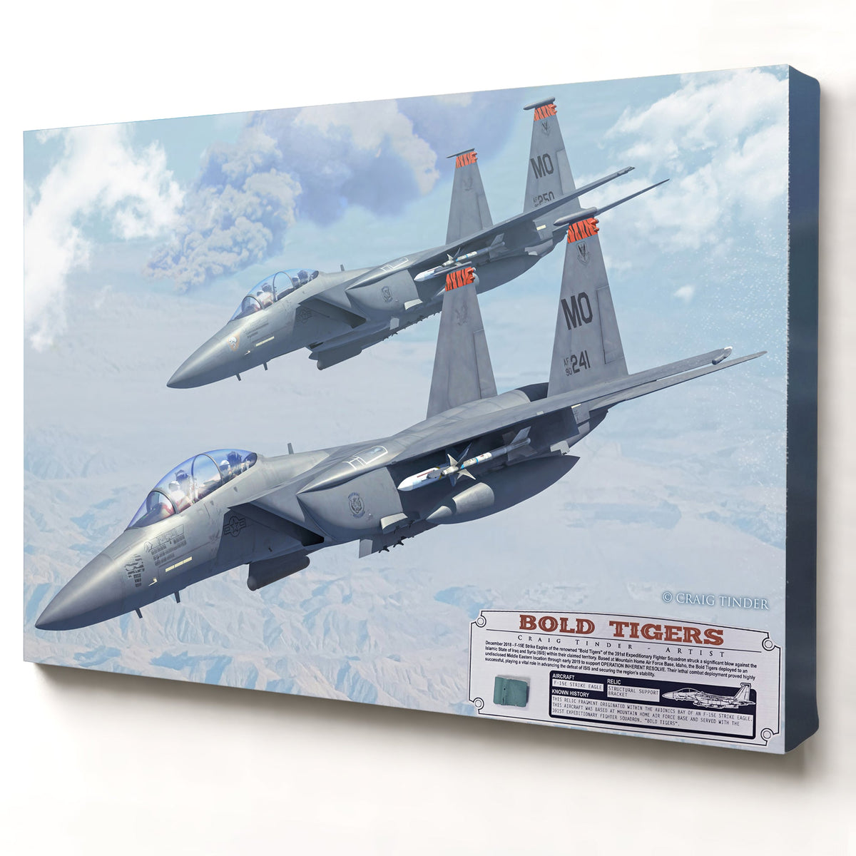 F-15E Strike Eagle Bold Tigers relic artwork by Craig Tinder