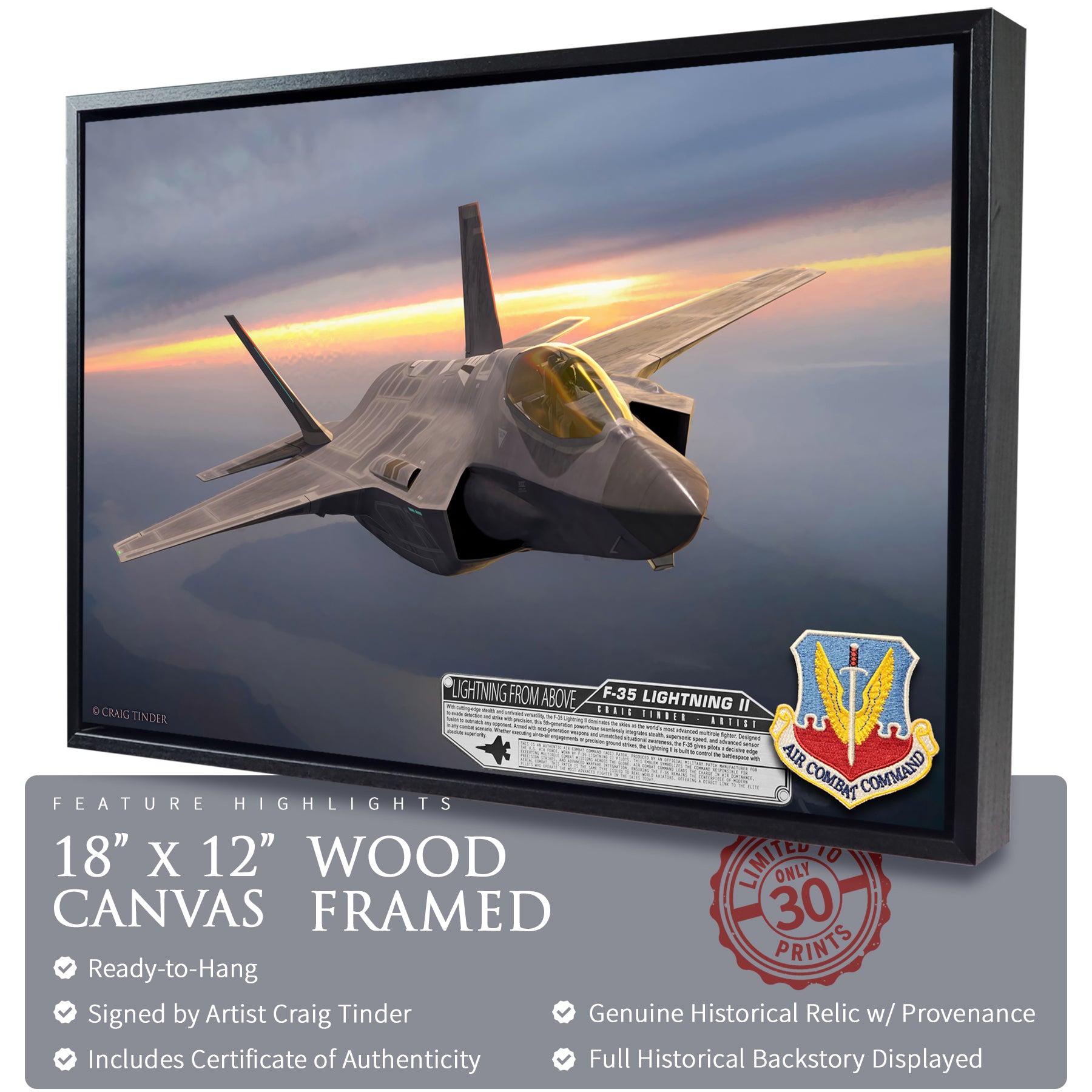F-35 Lightning II - Lightning From Above Canvas | INCLUDES: Authentic Patch