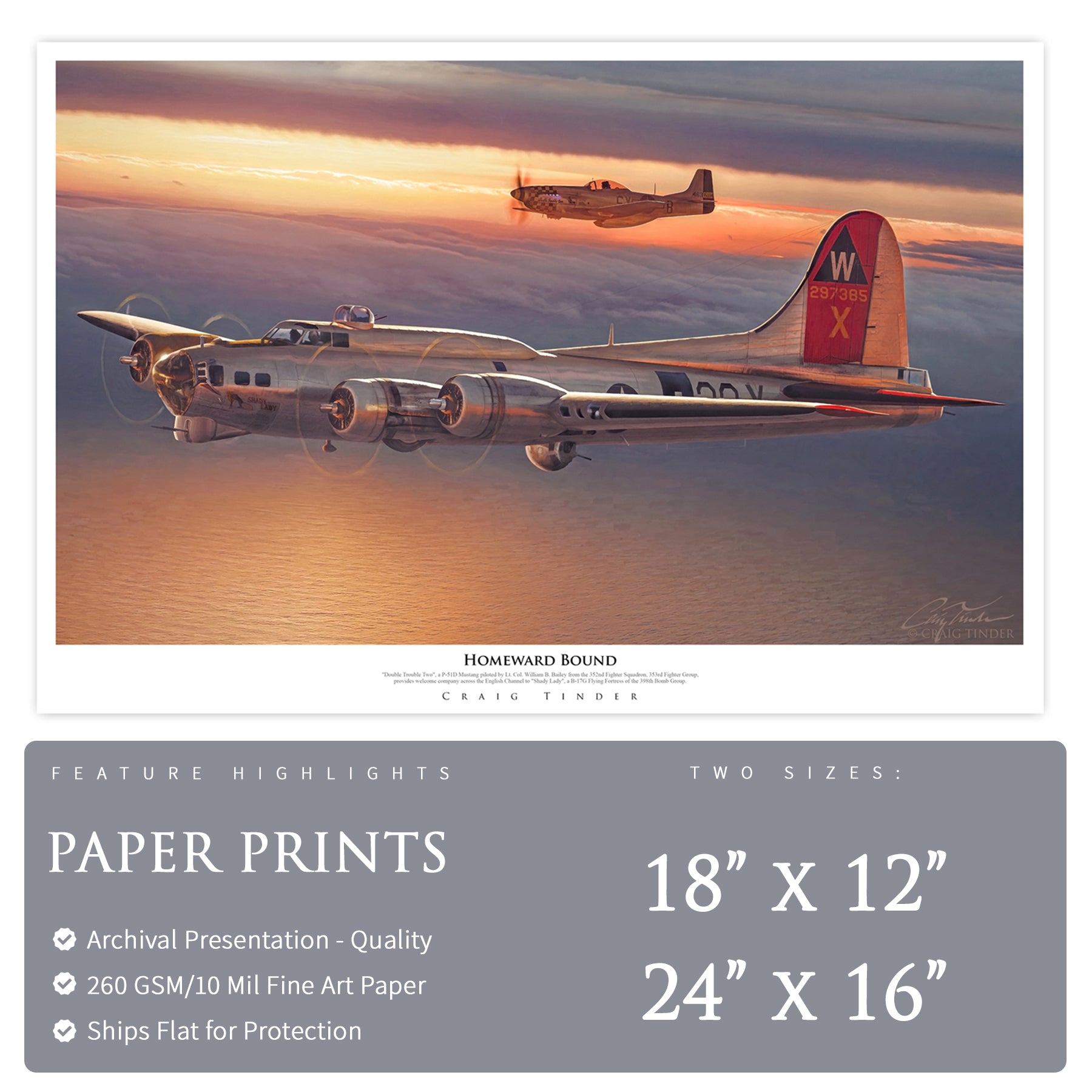 B-17 & P-51 - Homeward Bound Canvas | INCLUDES: Wing Skin & Fuselage Panel Relics