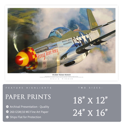P-51 Mustang - Hurry Home Honey Canvas | INCLUDES: Fuselage Panel Fragment