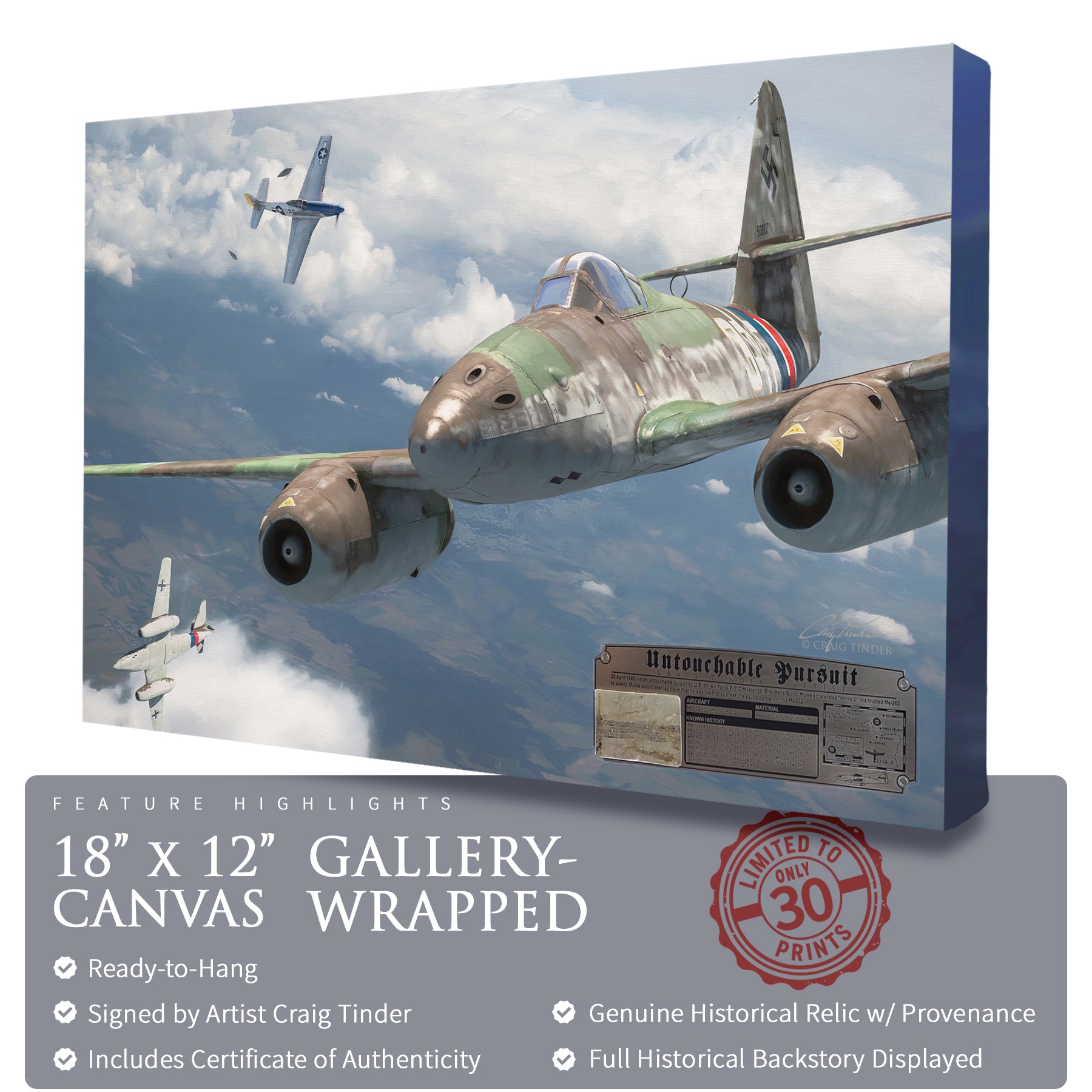 Me 262 Swallow - Untouchable Pursuit Canvas | INCLUDES: Wing Skin Relic