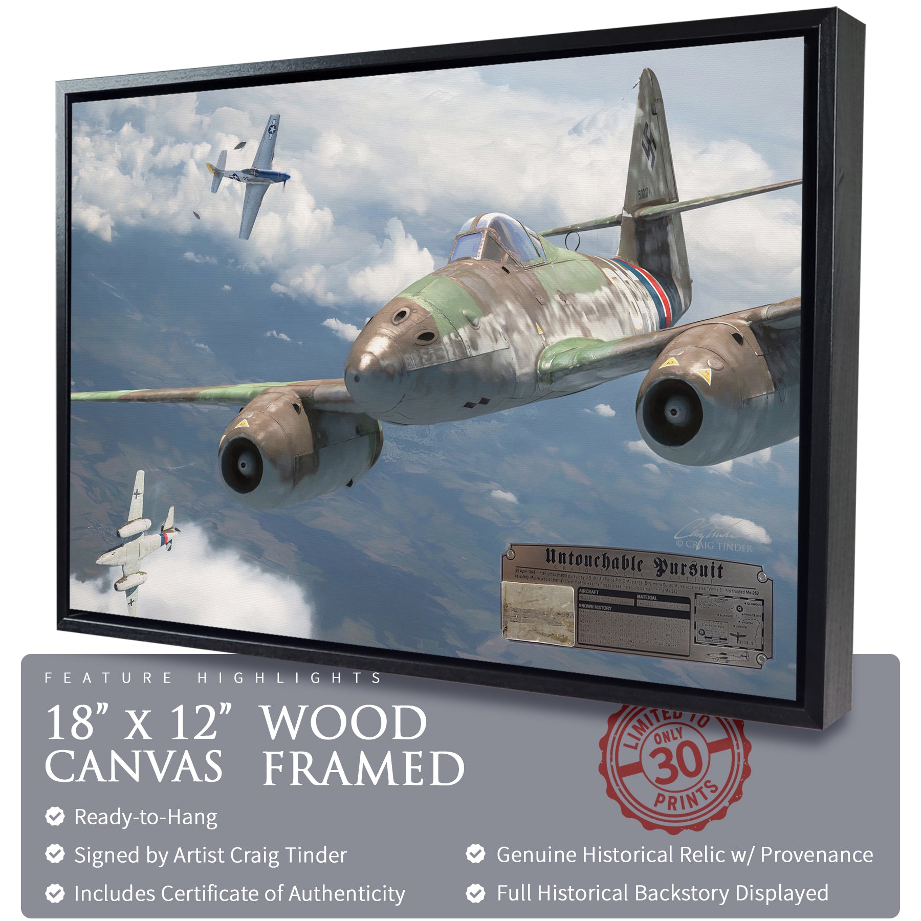 Me 262 Swallow - Untouchable Pursuit Canvas | INCLUDES: Wing Skin Relic