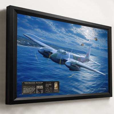 Mosquito DD792 - Intruder Patrol – artwork presentation detail