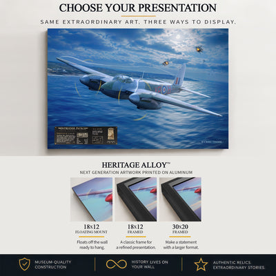 Mosquito DD792 - Intruder Patrol | INCLUDES: DD792 Airframe Relic