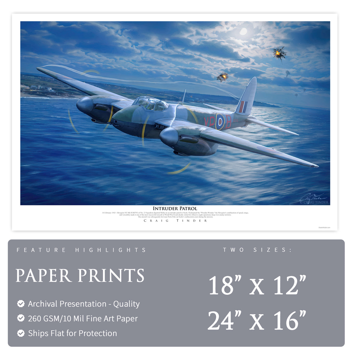 Mosquito - Intruder Patrol Art Print