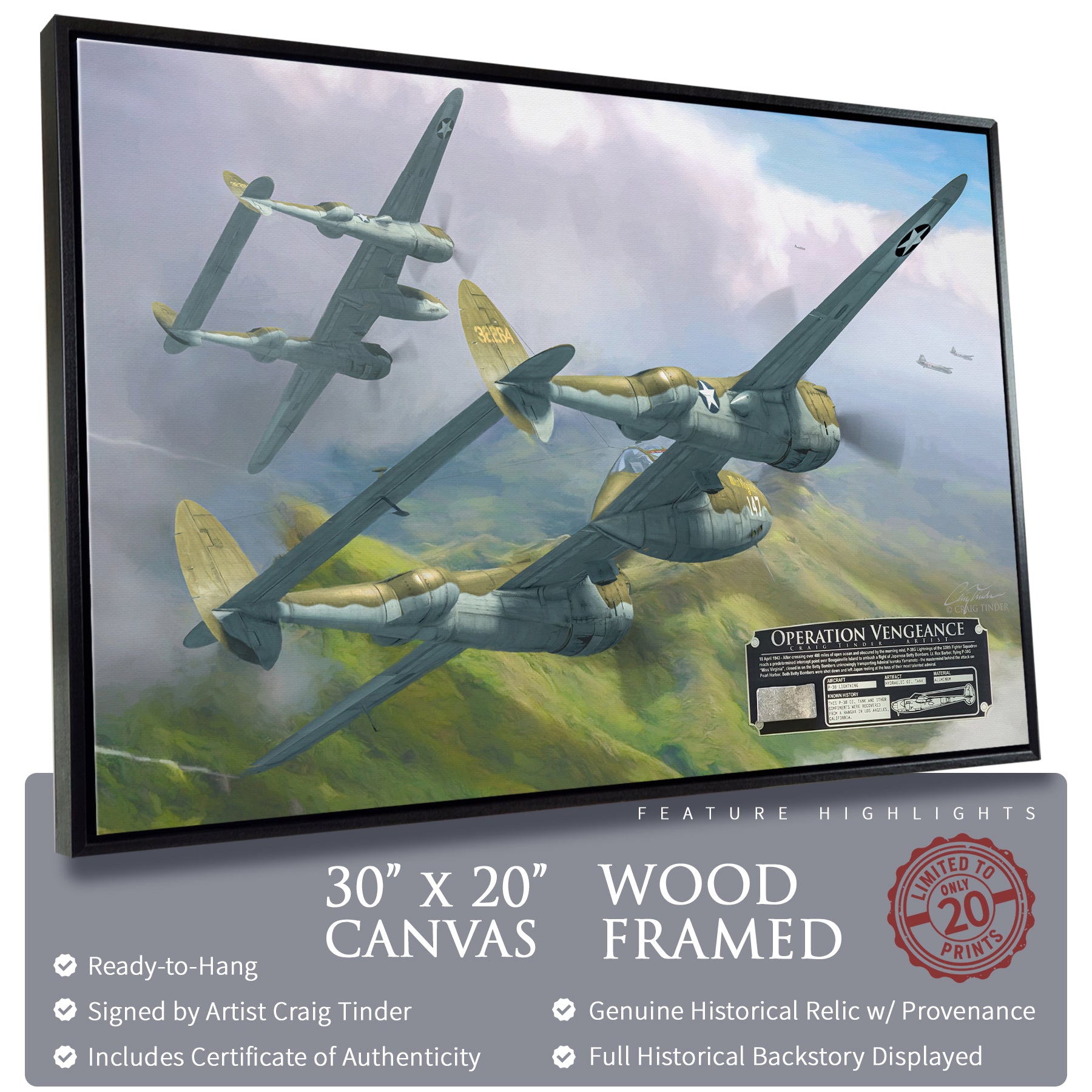P-38 Lightning - Operation Vengeance Canvas | INCLUDES: Oil Tank Fragment