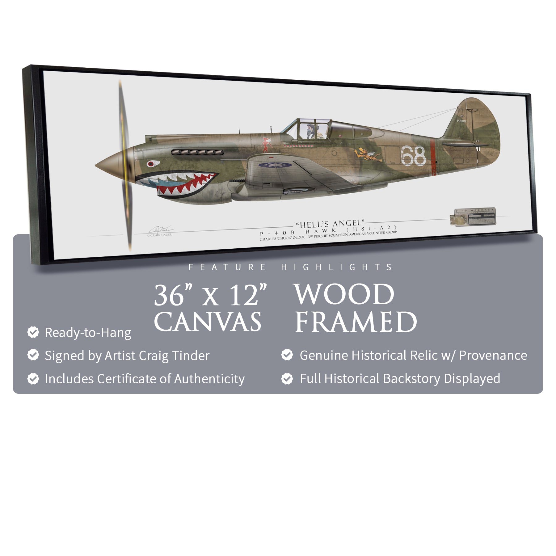 P-40 Warhawk - Flying Tiger Framed Canvas | INCLUDES: Air Intake Relic