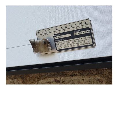 P-40 Warhawk - Flying Tiger Framed Canvas | INCLUDES: Air Intake Relic