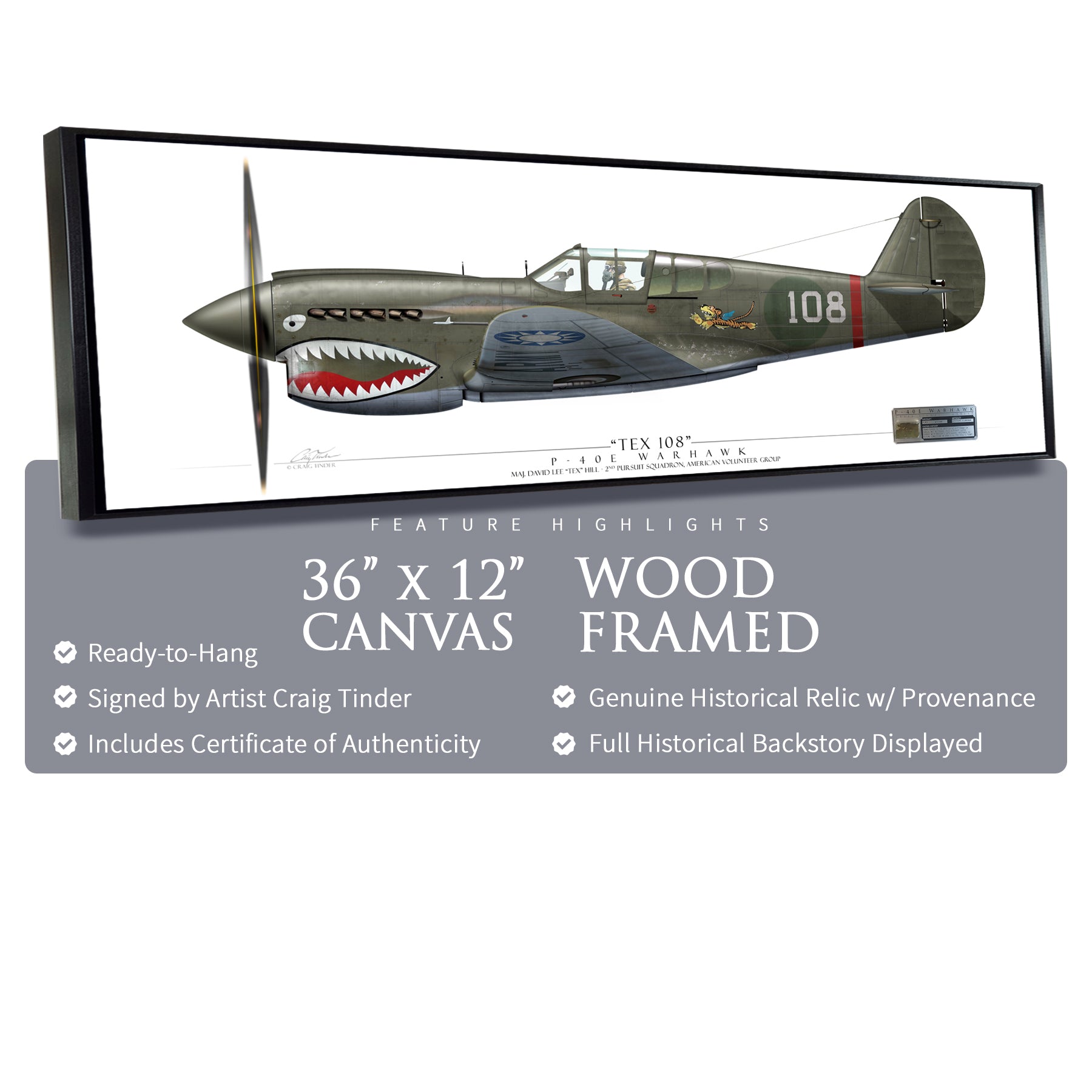 P-40 Warhawk - Tex Hill Framed Canvas | INCLUDES: Aluminum Relic