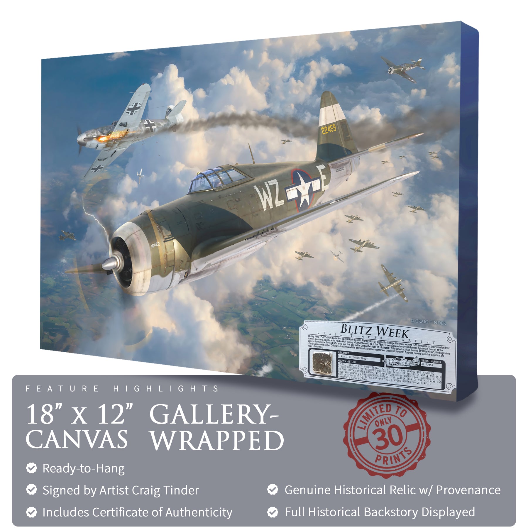 P-47 Thunderbolt - Blitz Week Canvas | INCLUDES: Airframe Relic