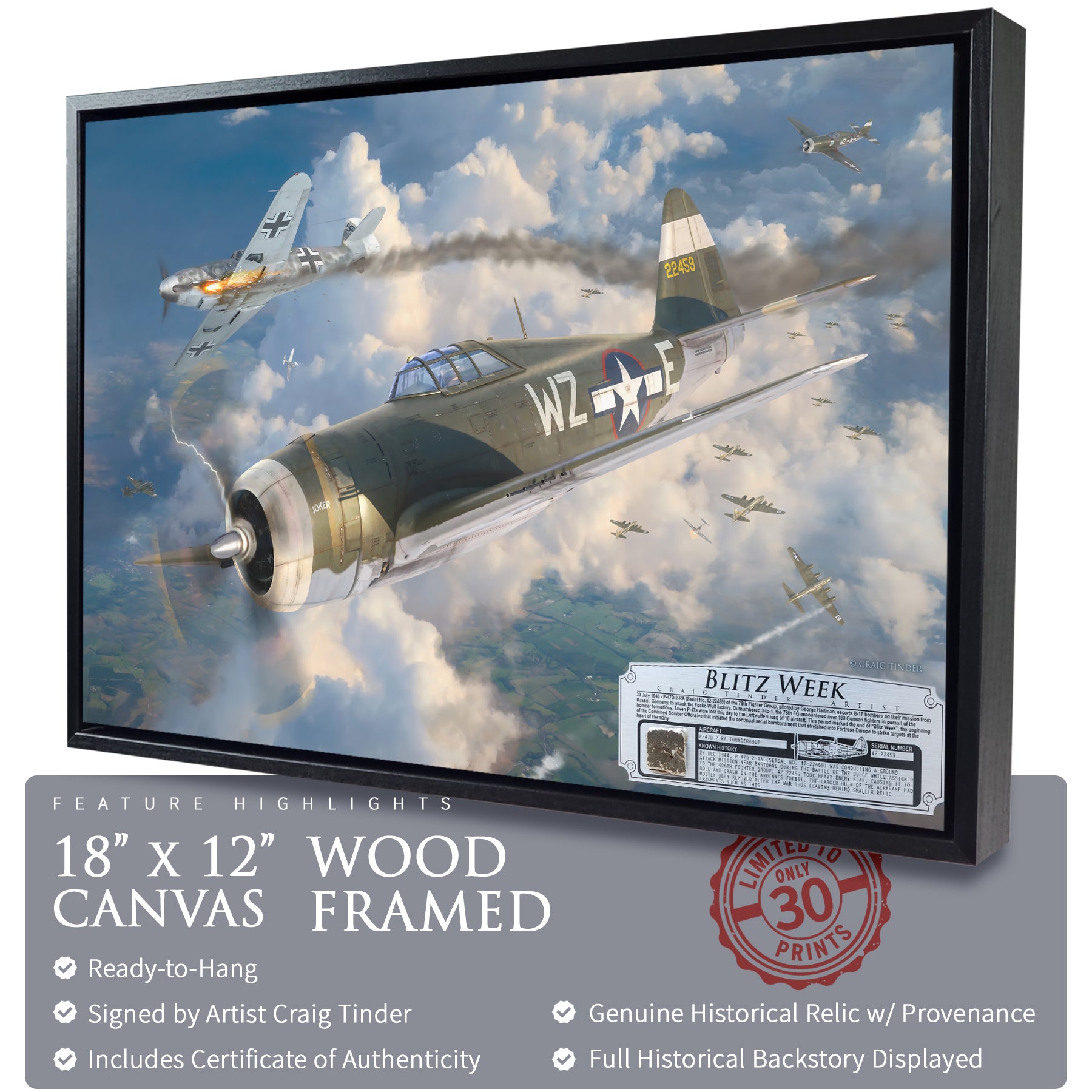 P-47 Thunderbolt - Blitz Week Canvas | INCLUDES: Airframe Relic