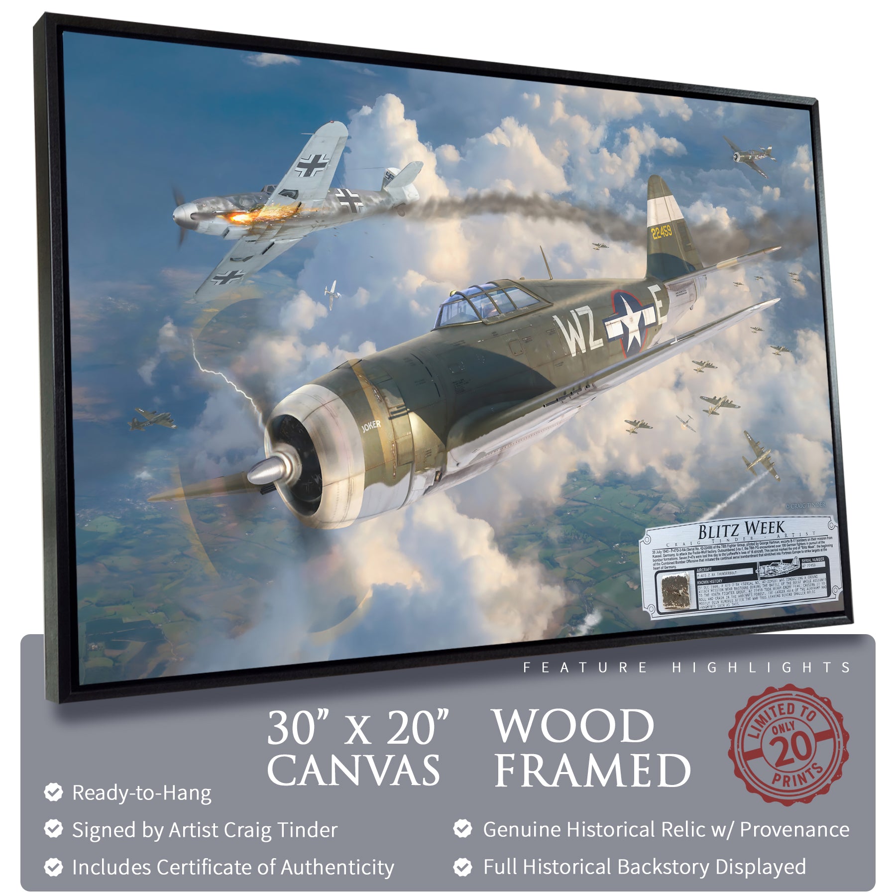 P-47 Thunderbolt - Blitz Week Canvas | INCLUDES: Airframe Relic